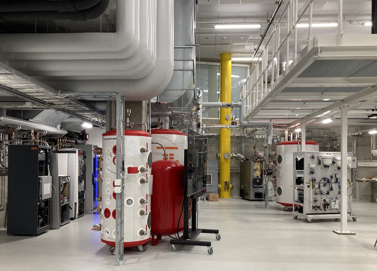 Free-hanke Metropolia